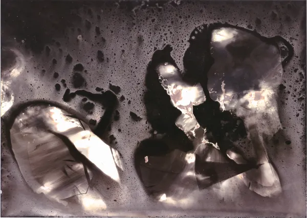 Dark speckled ground with pale blotches