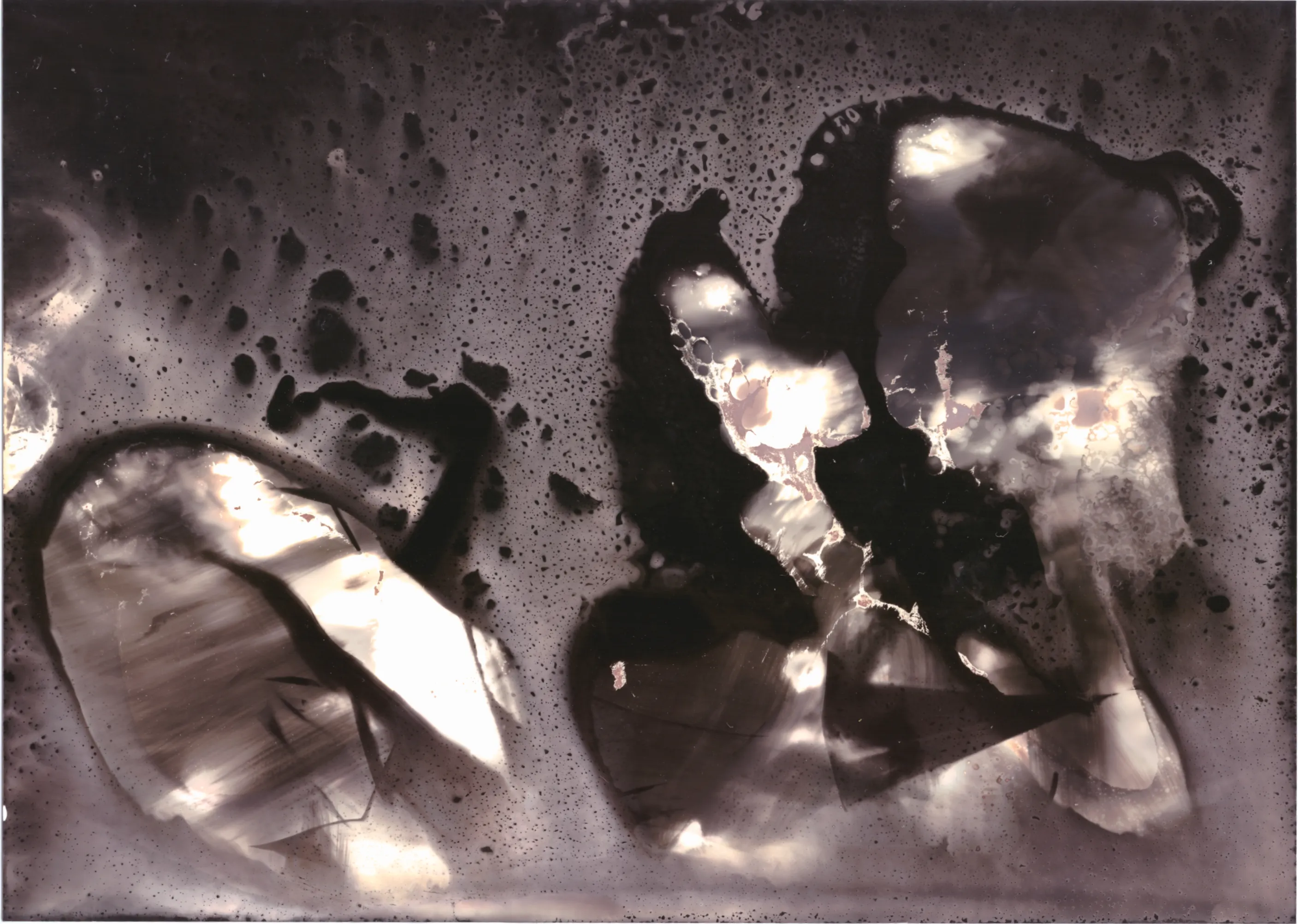 Dark speckled ground with pale blotches