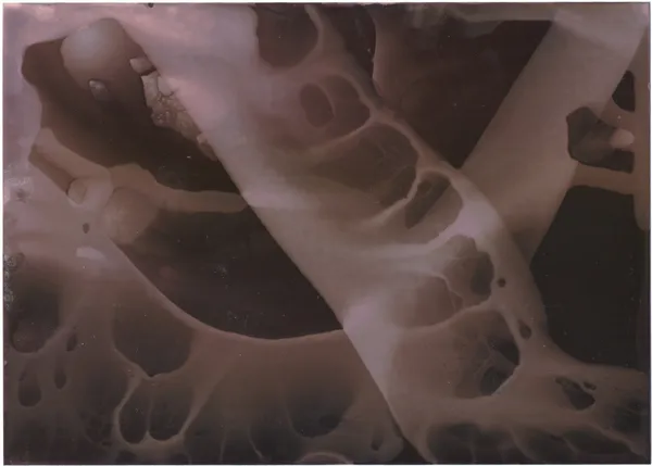 Pale web of holes and bubbles across a dark surface