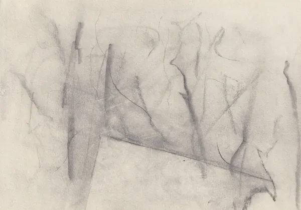 Faint horizontal graphite drawing on cream paper: branching lines around a long sail-like triangle
